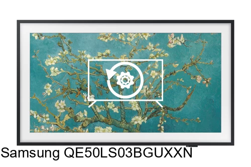 Factory reset Samsung QE50LS03BGUXXN