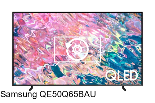 Factory reset Samsung QE50Q65BAU
