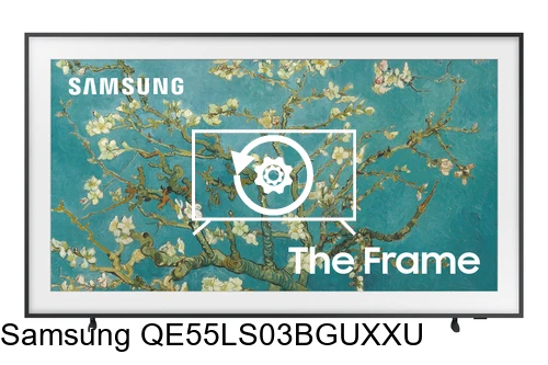 Factory reset Samsung QE55LS03BGUXXU