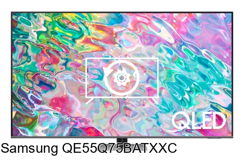 Factory reset Samsung QE55Q75BATXXC