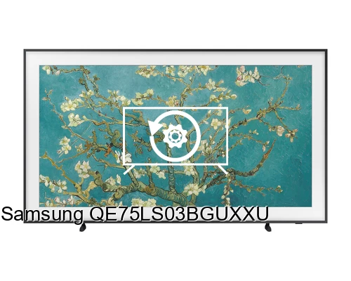 Reset Samsung QE75LS03BGUXXU
