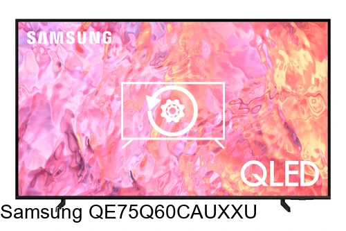 Reset Samsung QE75Q60CAUXXU