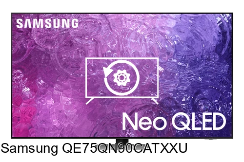 Factory reset Samsung QE75QN90CATXXU