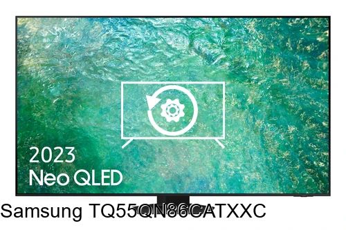 Resetear Samsung TQ55QN86CATXXC