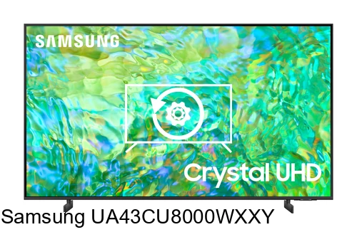 Réinitialiser Samsung UA43CU8000WXXY