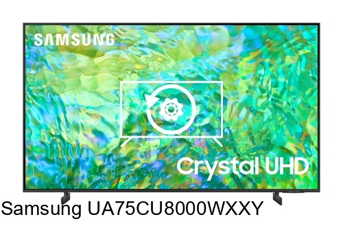 Réinitialiser Samsung UA75CU8000WXXY