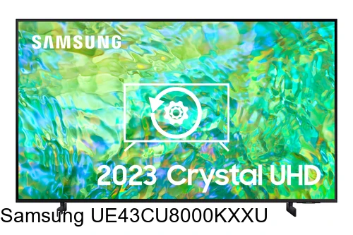 Reset Samsung UE43CU8000KXXU