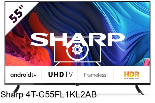 Resetear Sharp 4T-C55FL1KL2AB