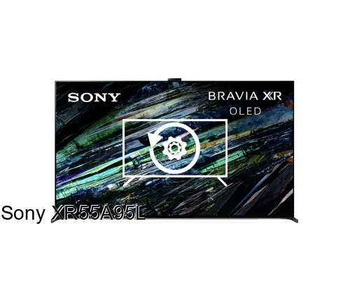 Resetear Sony XR55A95L