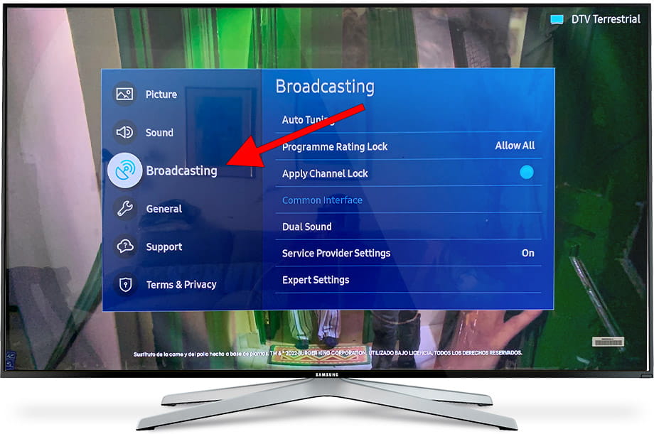 Settings broadcasting Samsung TV