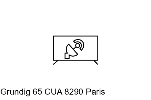 Search for channels on Grundig 65 CUA 8290 Paris