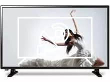 Search for channels on Haier LE24D1000