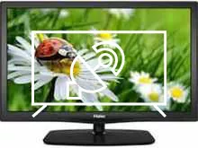 Search for channels on Haier LE24T1000