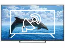 Search for channels on Haier LE43B7000