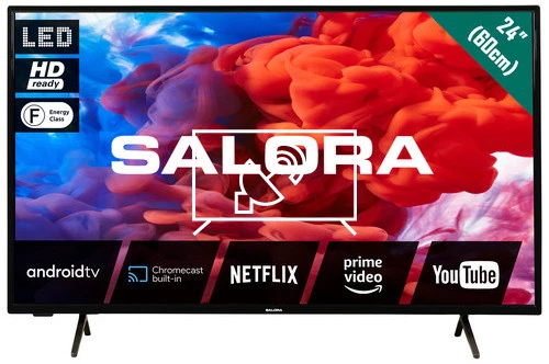 Search for channels on Salora 24HA220