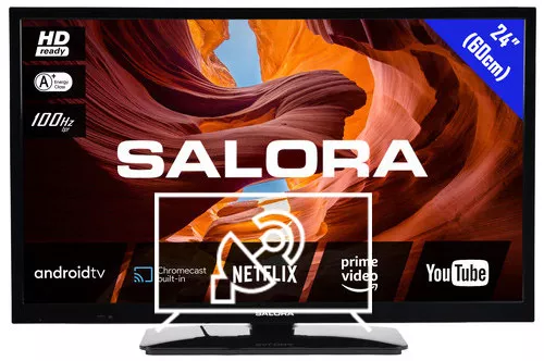Search for channels on Salora 24HA330