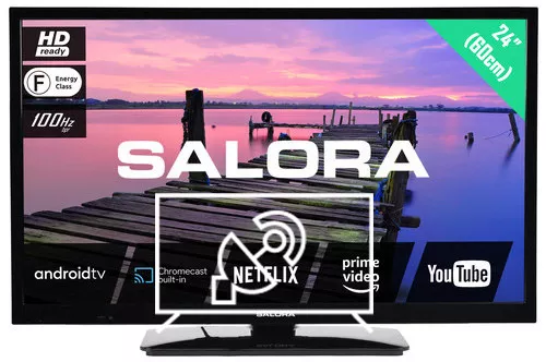 Search for channels on Salora 24HA3704