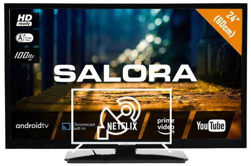Search for channels on Salora 24XHA4404