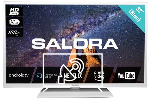 Search for channels on Salora 32 MILKYWAY