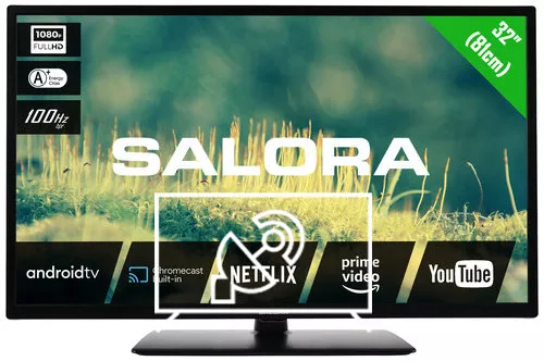 Search for channels on Salora 32EFA2204