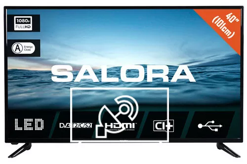 Search for channels on Salora 40D210