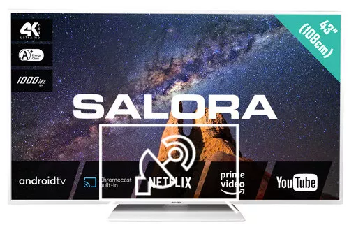 Search for channels on Salora 43 Milkyway