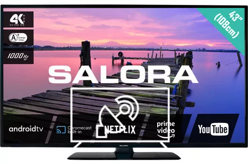 Search for channels on Salora 43BA3704