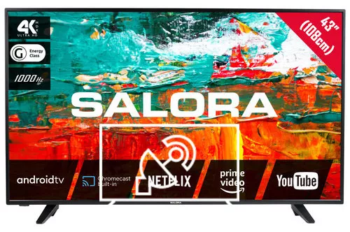 Search for channels on Salora 43BXX9000