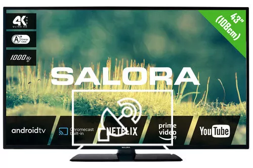 Search for channels on Salora 43EA2204