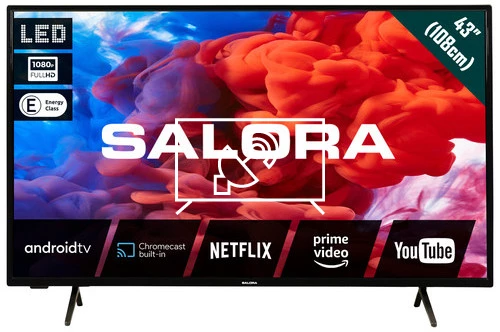 Search for channels on Salora 43FA220