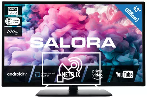 Search for channels on Salora 43FA330