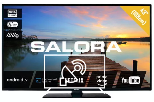 Search for channels on Salora 43FA7504