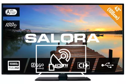 Search for channels on Salora 43FL7500