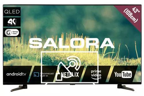 Search for channels on Salora 43QLED2204