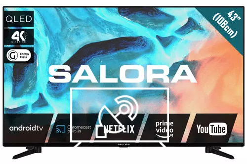 Search for channels on Salora 43QLED220A