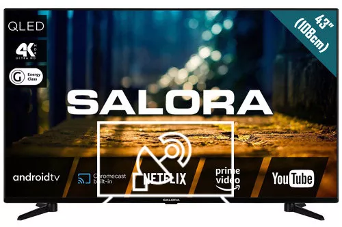 Search for channels on Salora 43QLED4404
