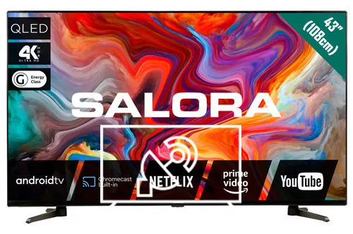 Search for channels on Salora 43QLEDTV
