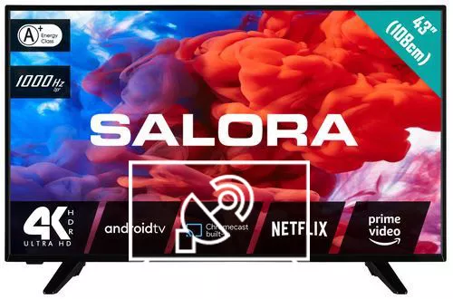 Search for channels on Salora 43UA220