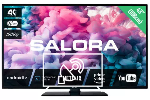 Search for channels on Salora 43UA330