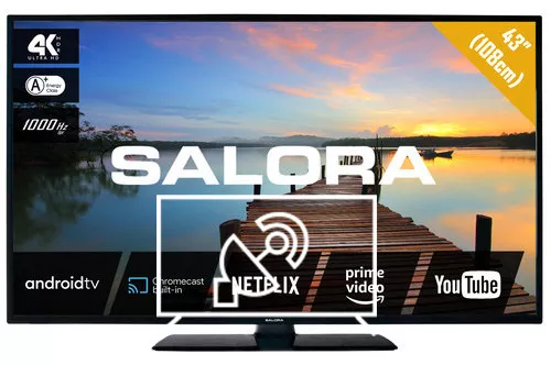 Search for channels on Salora 43UA7504