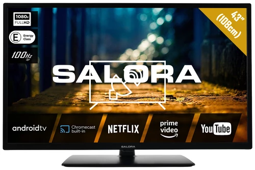 Search for channels on Salora 43XFA4404