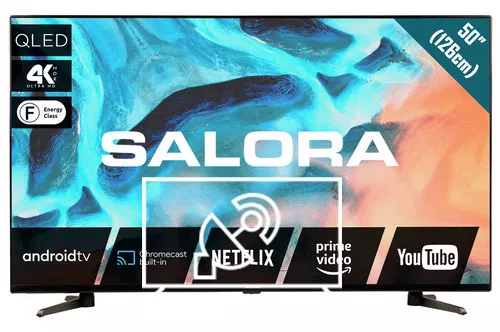 Search for channels on Salora 50QLED220