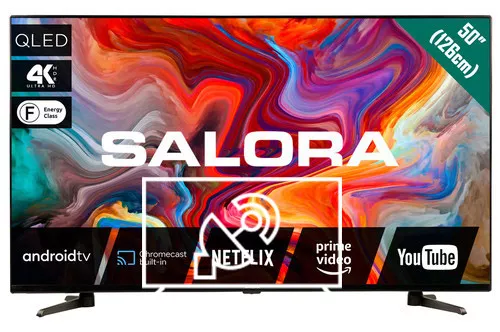 Search for channels on Salora 50QLEDTV