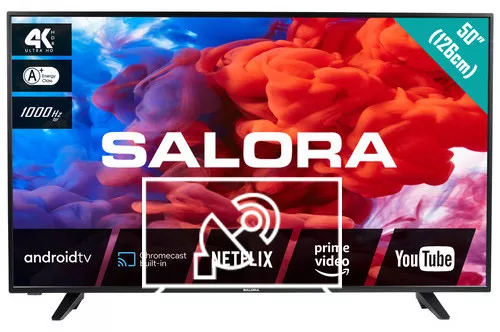 Search for channels on Salora 50UA220