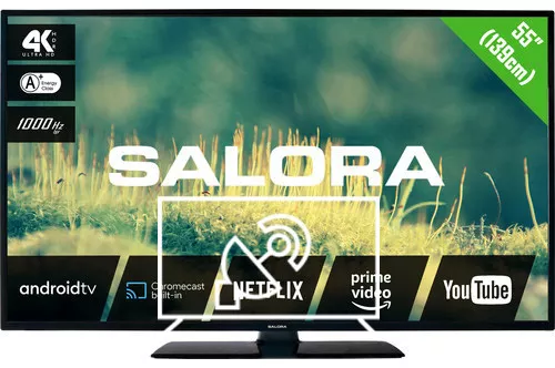 Search for channels on Salora 55EA2204
