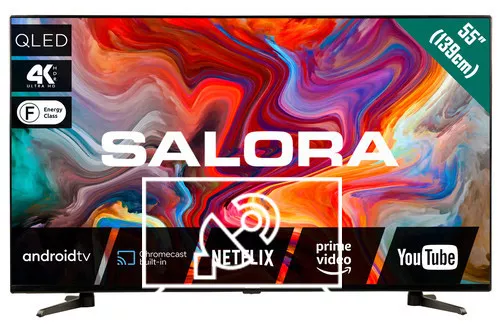 Search for channels on Salora 55QLEDTV