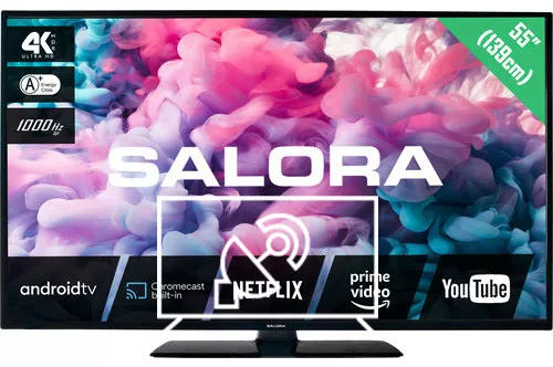 Search for channels on Salora 55UA330
