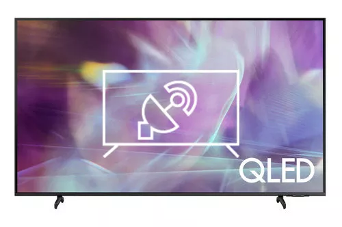 Search for channels on Samsung QN43Q60AAFXZA