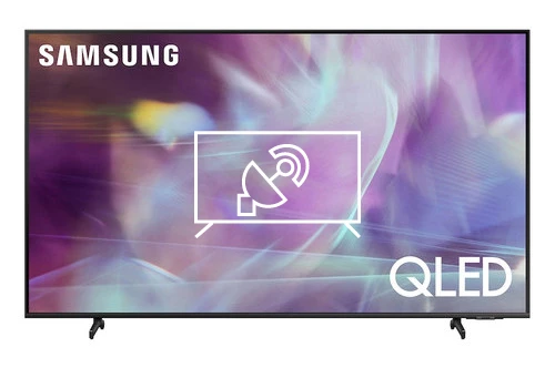 Search for channels on Samsung QN65Q6DAAF
