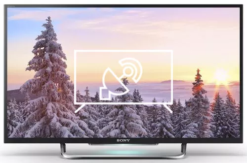 Search for channels on Sony 50" W800C
